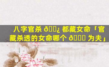 八字官杀 🌿 都藏女命「官藏杀透的女命哪个 🐋 为夫」